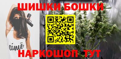 гашик Дубна