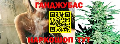мдма Новозыбков