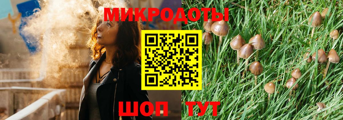 Галлюциногенные грибы прущие грибы  Вход с VPN  где купить   Галлюциногенные грибы GOLDEN TEACHER  Норильск 