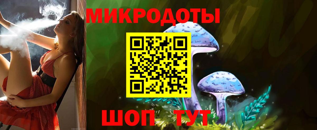 Псилоцибиновые грибы Psilocybe Норильск